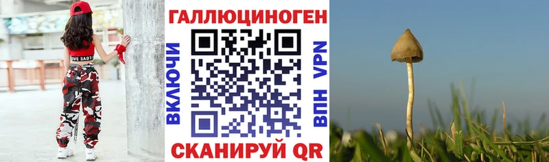 гидра ссылки  Ростов  Псилоцибиновые грибы Psilocybe 